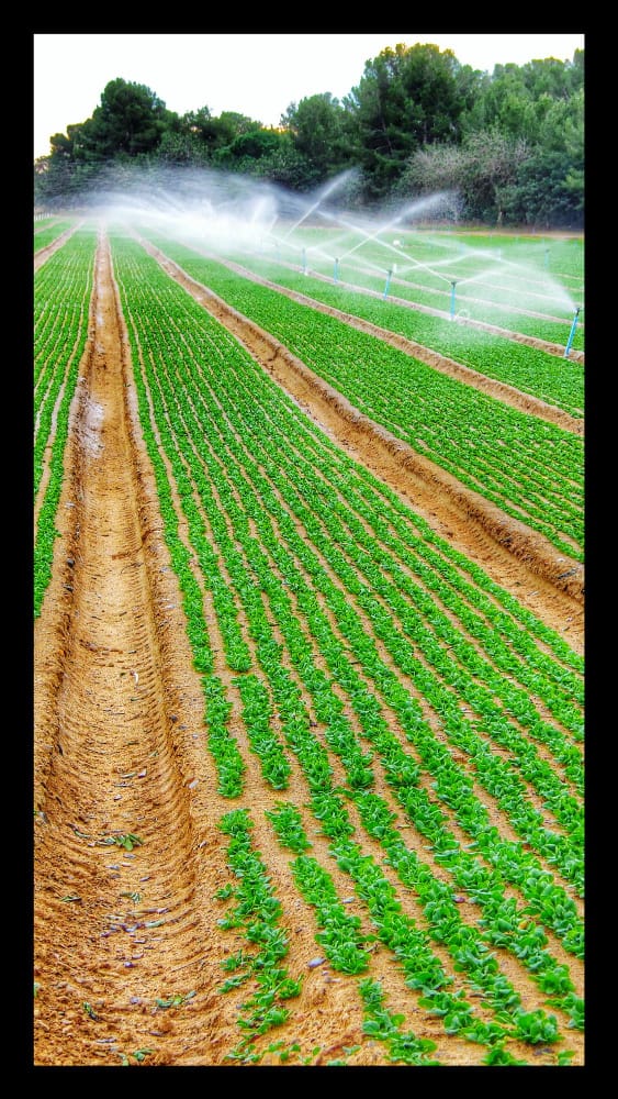 Bombas centrífugas